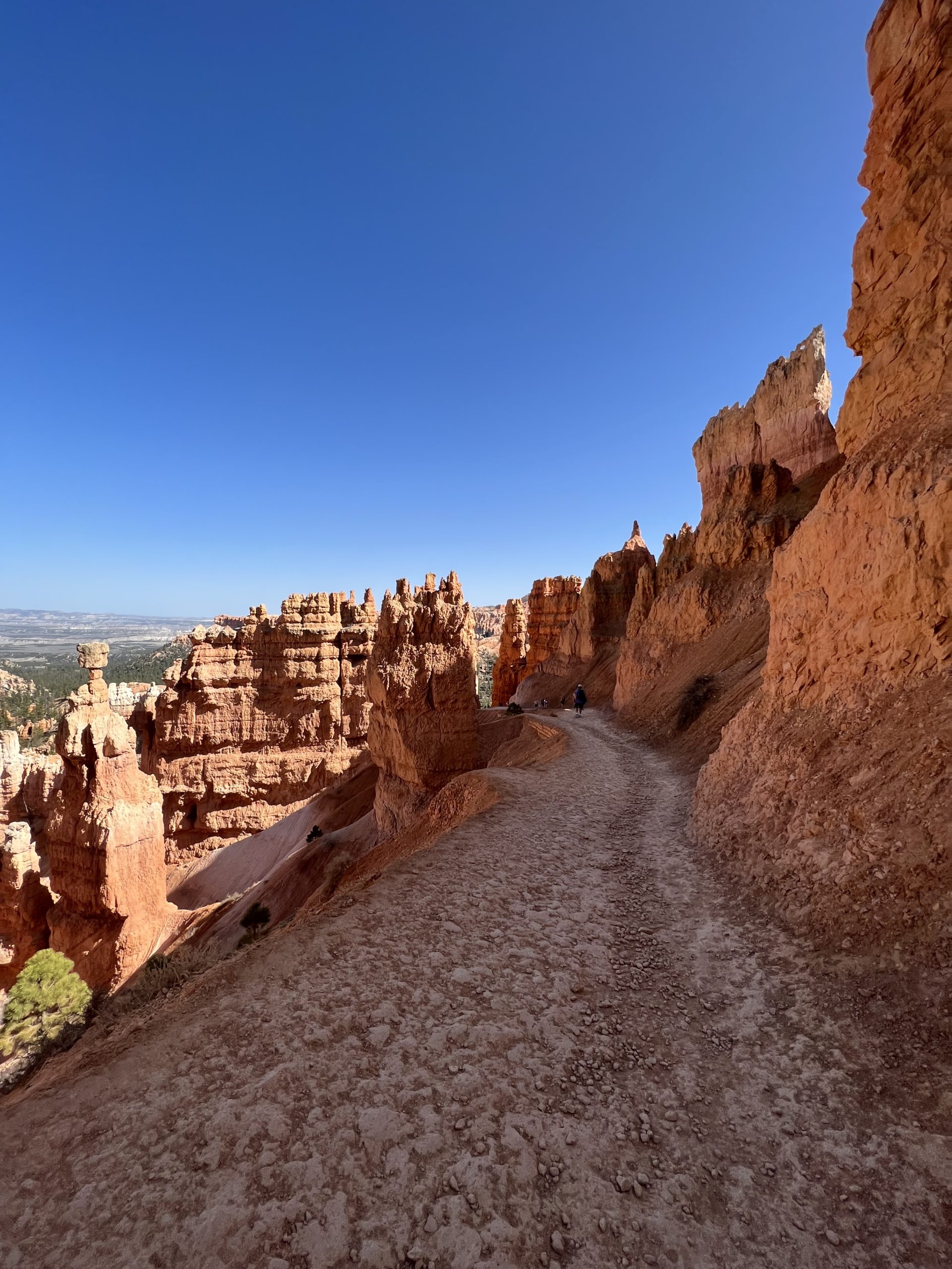 5 Best Hikes Bryce Canyon National Park