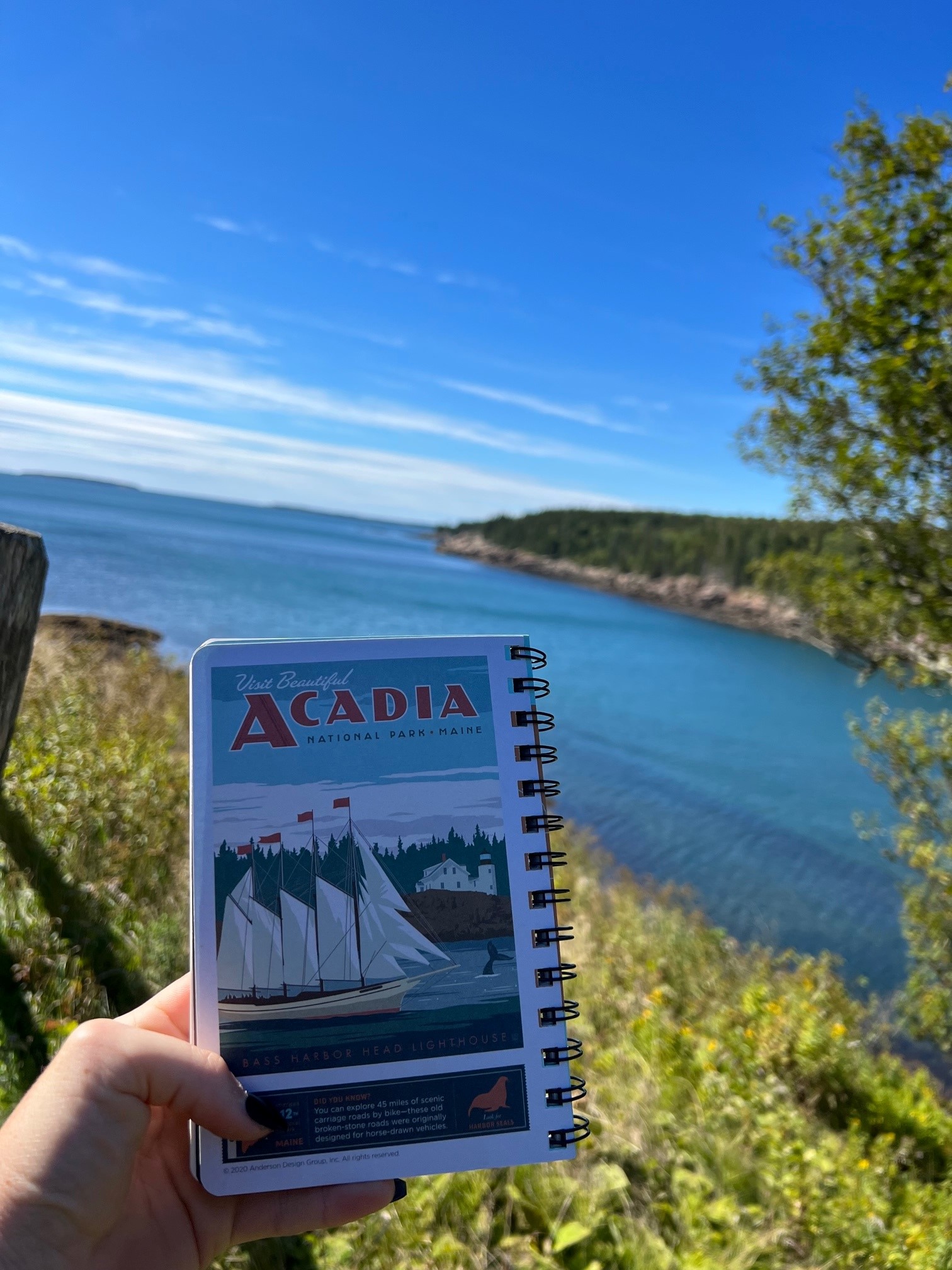 Acadia National Park Guide