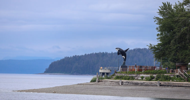 Cruise Port Guide: Icy Strait Point