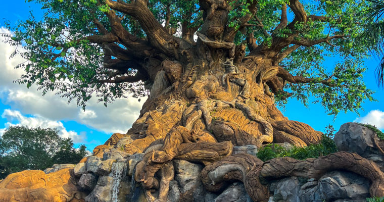 Animal Kingdom Guide for Adults