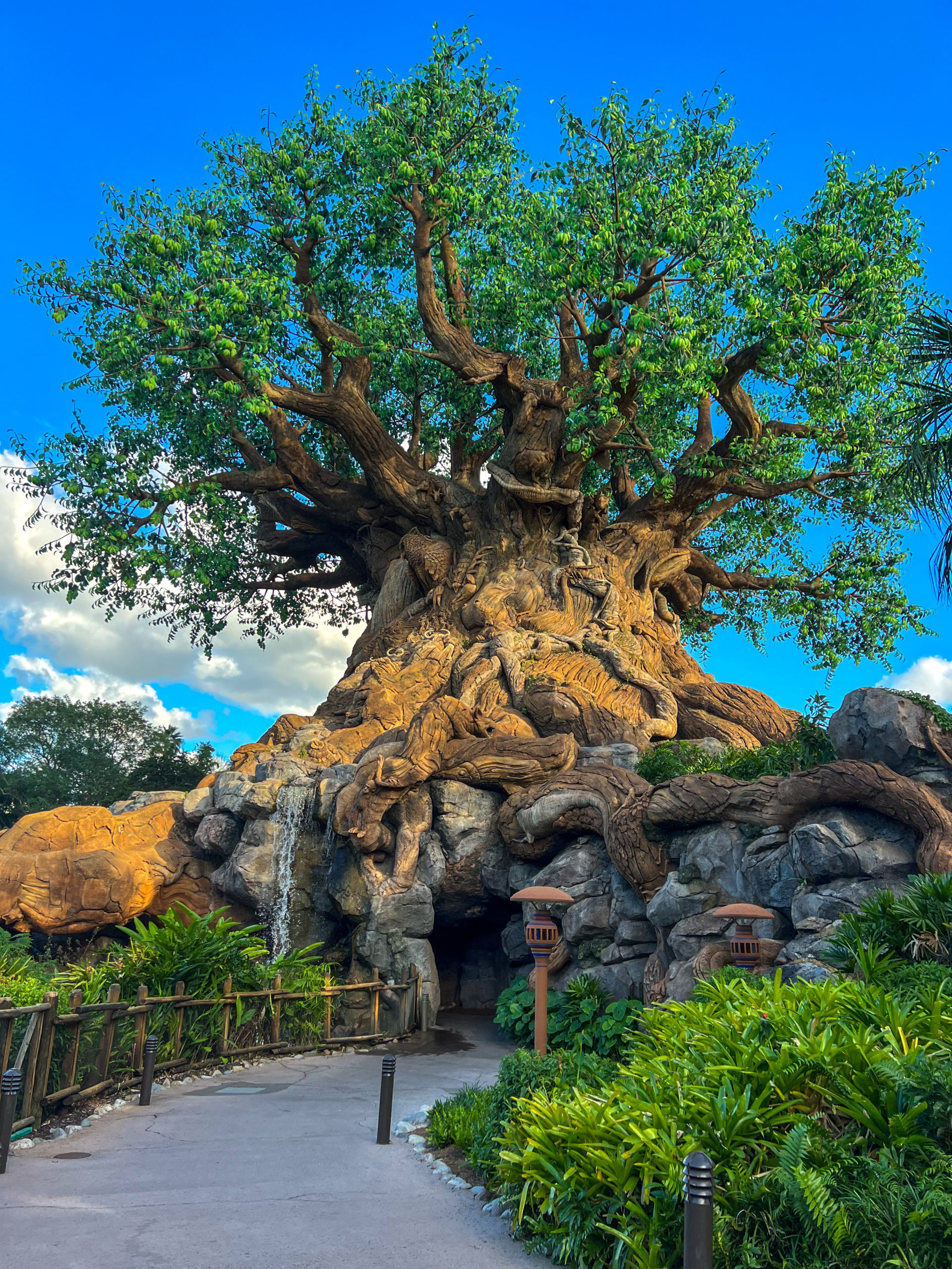 Animal Kingdom Guide for Adults