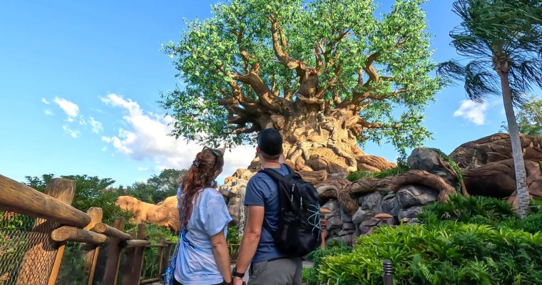 Animal Kingdom Blog