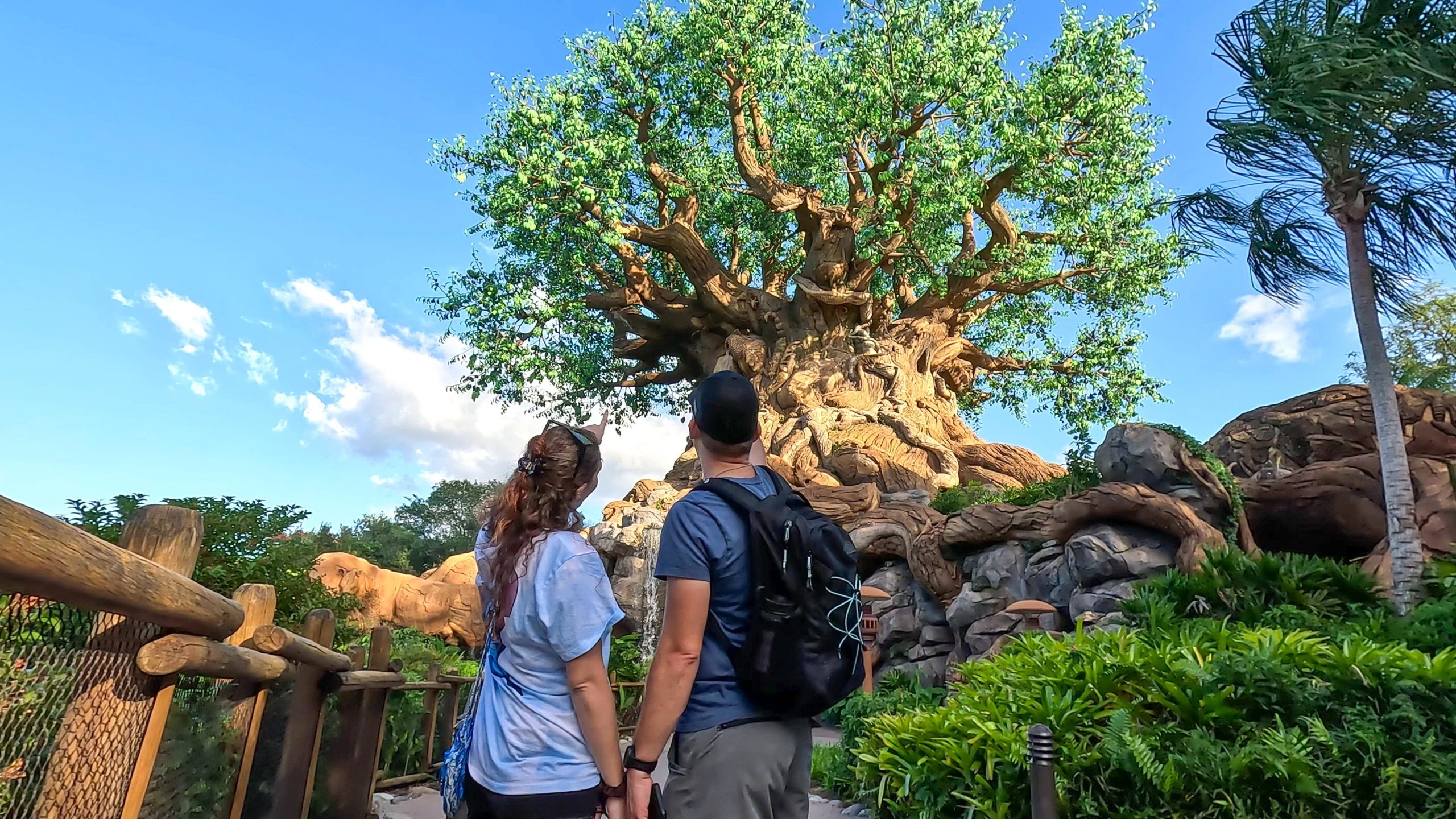 Animal Kingdom Blog
