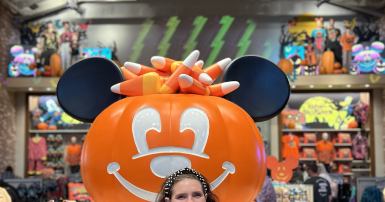 Disney Travel Day
