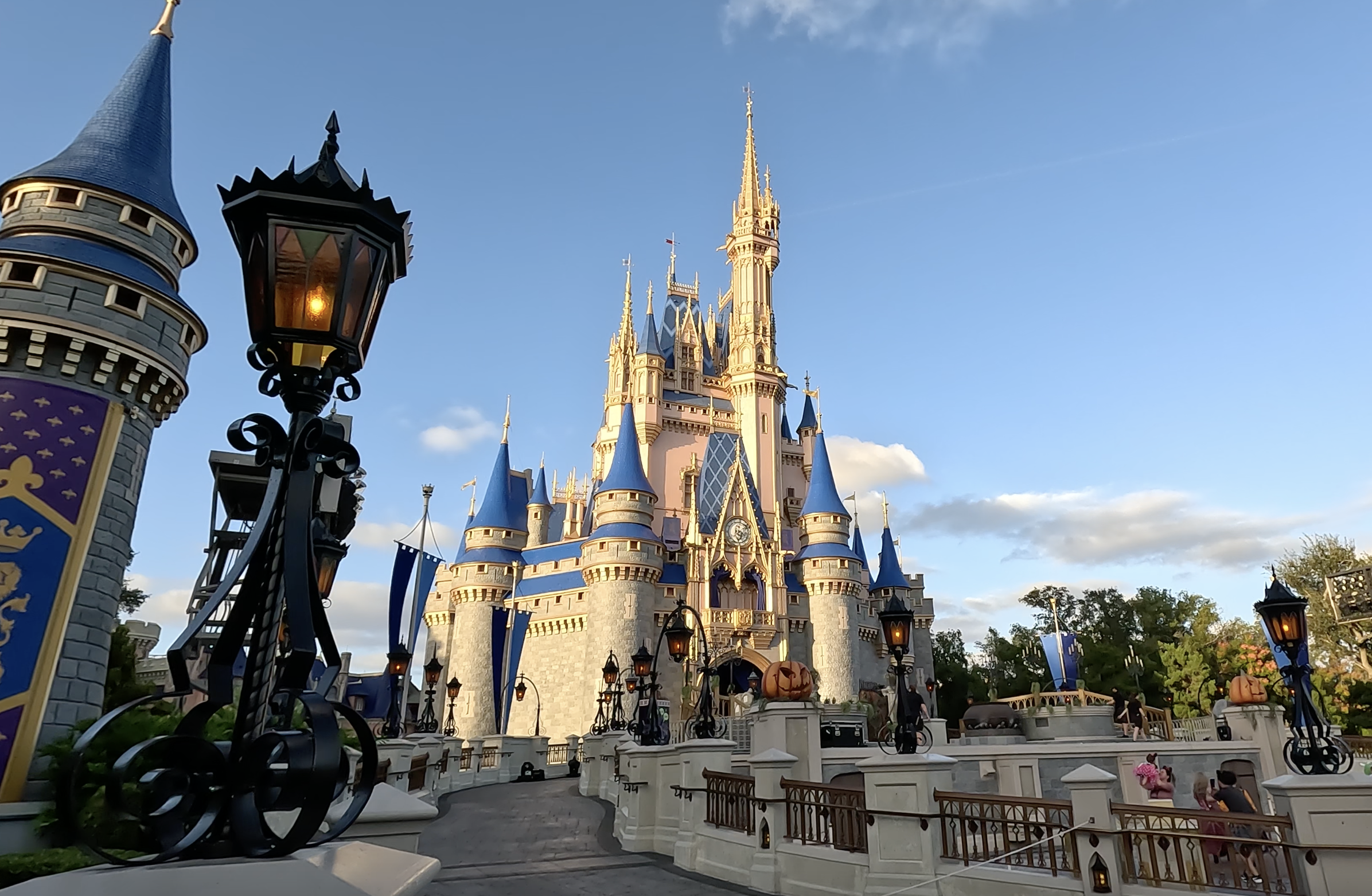 Magic Kingdom Guide for Adults